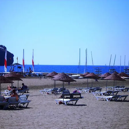 Maya The Royal Links Willa *