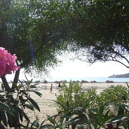 Maya The Royal Links * Sarıgerme