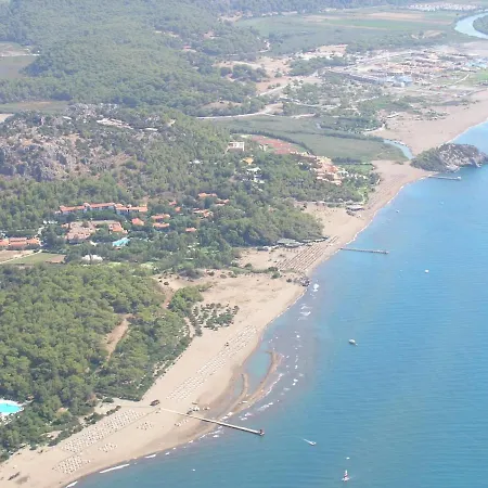 Maya The Royal Links * Sarıgerme