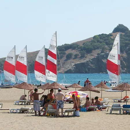 Maya The Royal Links Willa