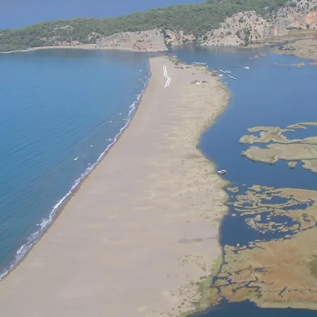 Maya The Royal Links *