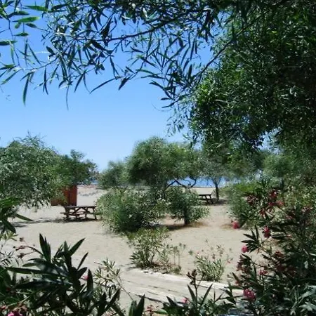 Maya The Royal Links Vilă