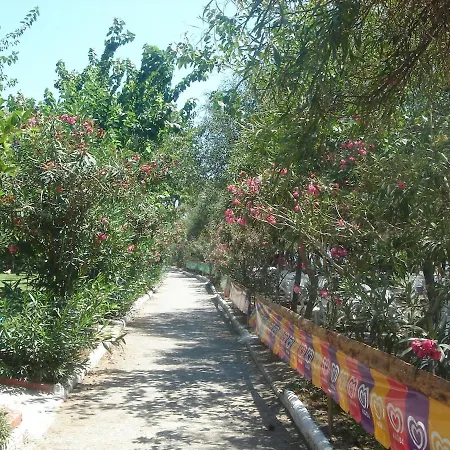 Maya The Royal Links *