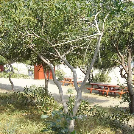 Maya The Royal Links * Sarıgerme