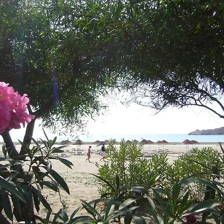 Willa Maya The Royal Links *