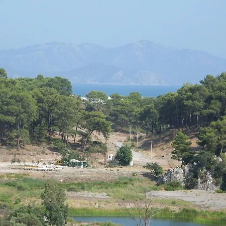 Maya The Royal Links Willa