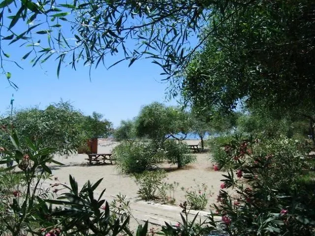 Maya The Royal Links