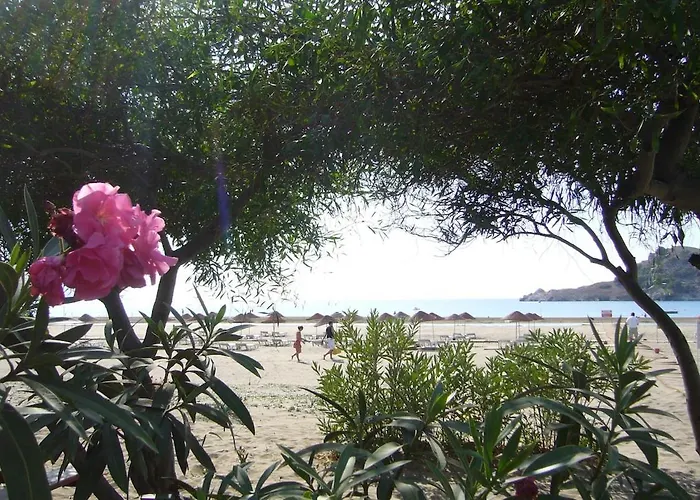 Maya The Royal Links * Sarigerme