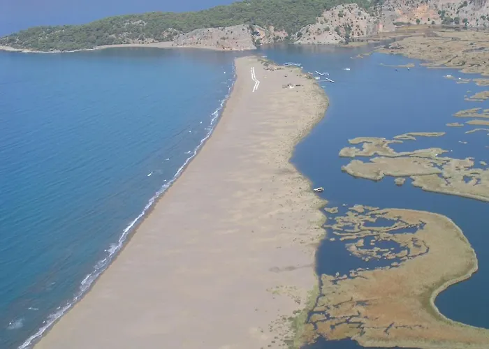 Maya The Royal Links *