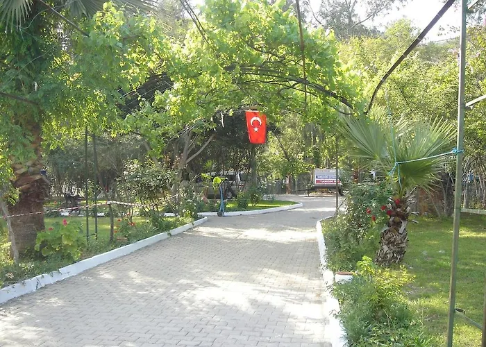 Maya The Royal Links *