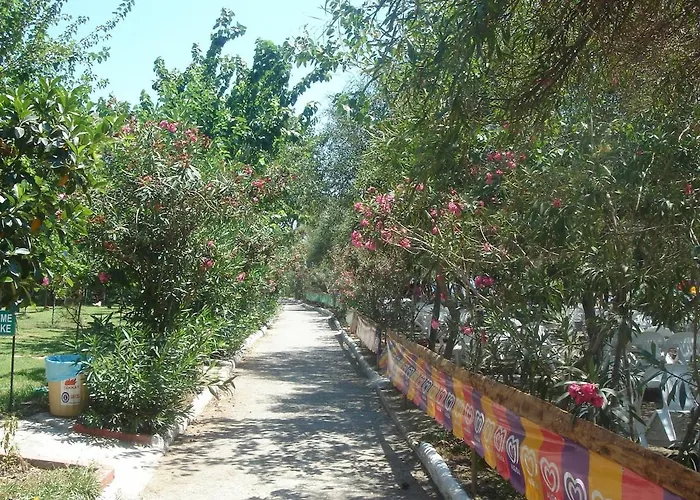 Maya The Royal Links *