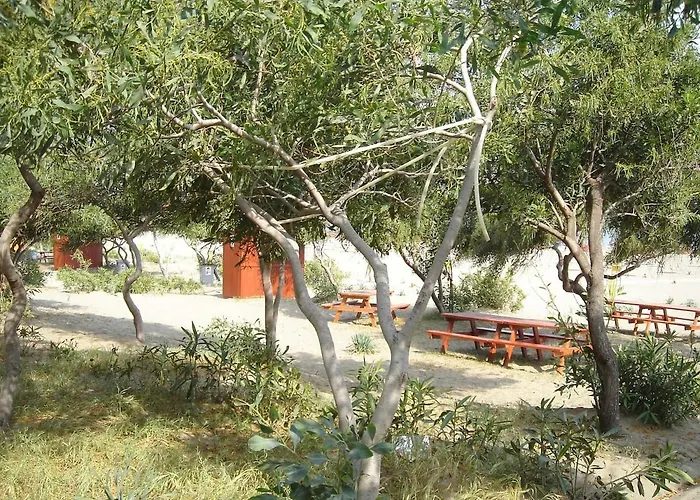 Maya The Royal Links * Sarigerme