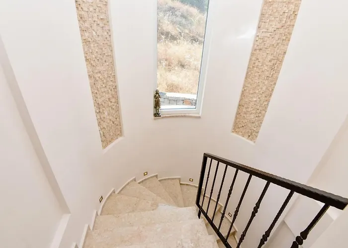 Maya The Royal Links *