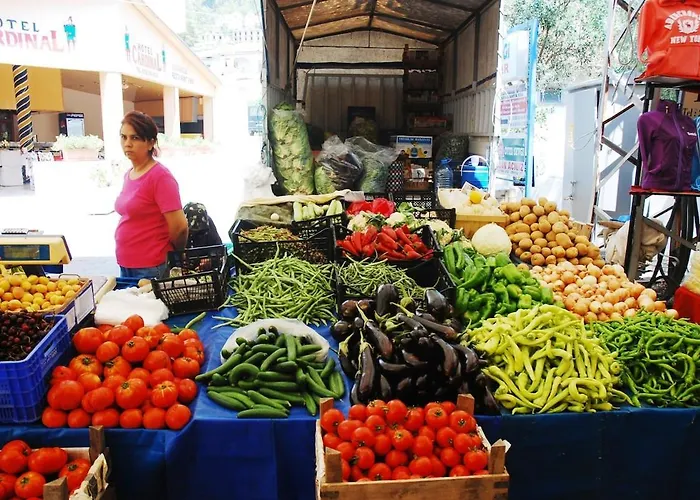 Maya The Royal Links