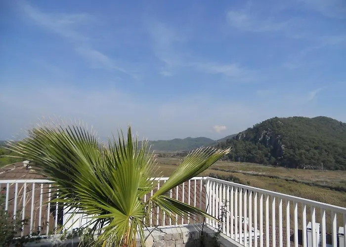 Maya The Royal Links