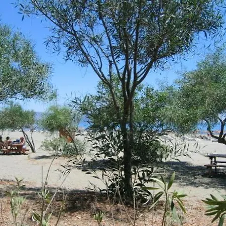 Maya The Royal Links *