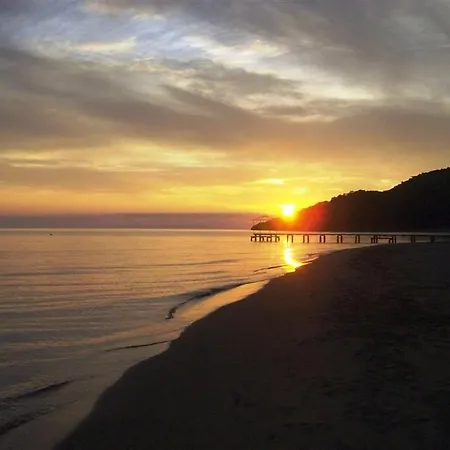 Maya The Royal Links Sarigerme