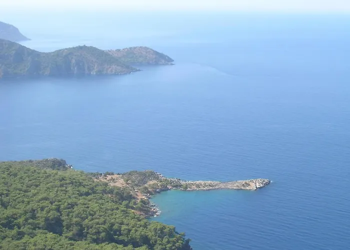 Maya The Royal Links