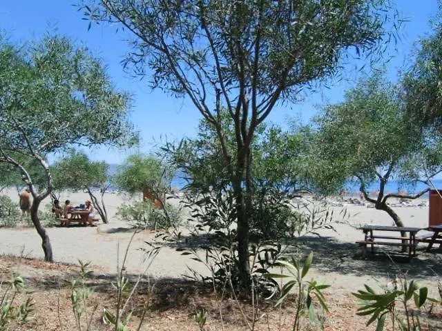 Maya The Royal Links *